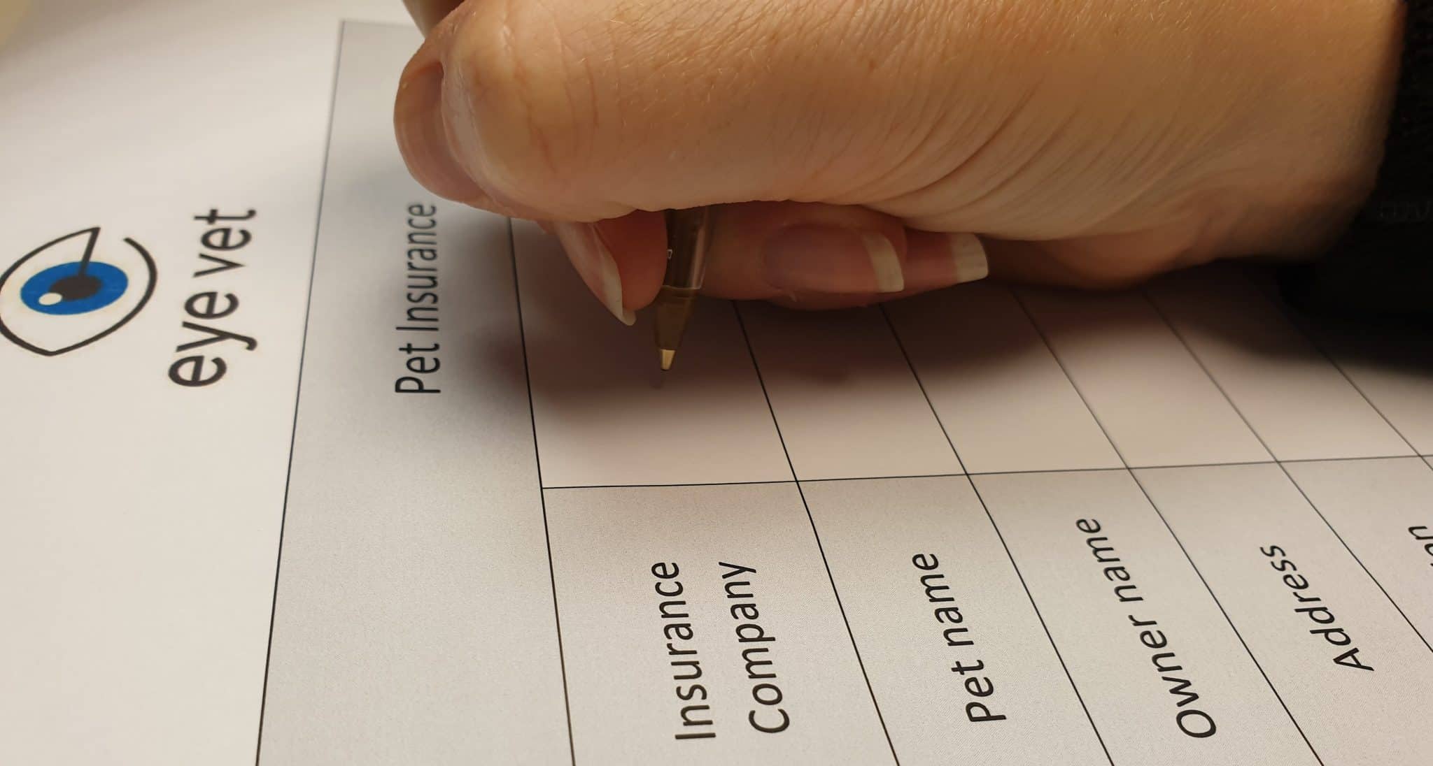 Prices & Payment Eye Vet Runcorn