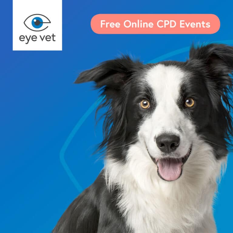 CPD Eye Vet Eye Vet Runcorn